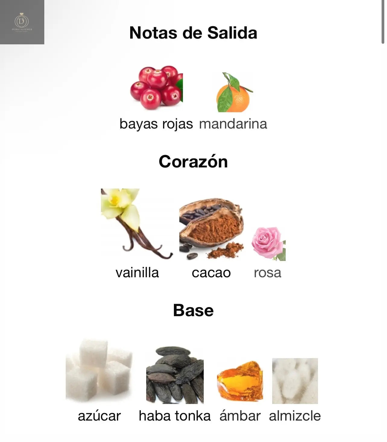 Nebras Lattafa Perfumes